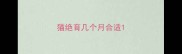 猫绝育几个月合适