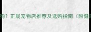 北京哪里买狗狗正规宠物店推荐及选购指南附健康检查清单