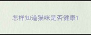 怎样知道猫咪是否健康