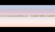 两个月大斗牛犬幼犬反复流鼻涕怎么办专业兽医护理要点与疾病预防指南