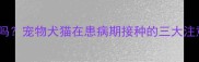 狗狗生病能打疫苗吗宠物犬猫在患病期接种的三大注意事项与科学建议