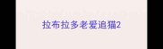 拉布拉多老爱追猫