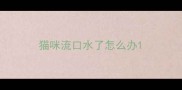 猫咪流口水了怎么办