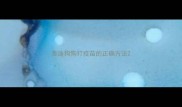 泰迪狗狗打疫苗的正确方法