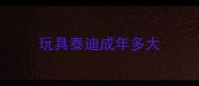 玩具泰迪成年多大