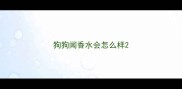 狗狗闻香水会怎么样