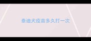 泰迪犬疫苗多久打一次