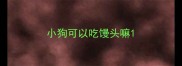 小狗可以吃馒头嘛