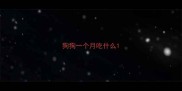 狗狗一个月吃什么