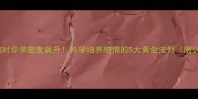 7天让狗狗对你亲密度飙升科学培养感情的5大黄金法则附训练案例