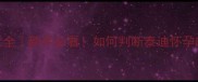 泰迪怀孕症状全新手必看如何判断泰迪怀孕的5个关键指标