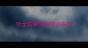 哈士奇跟阿拉斯加杂交