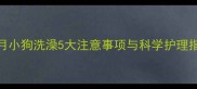 满月小狗洗澡5大注意事项与科学护理指南