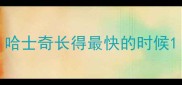 哈士奇长得最快的时候