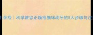宠物医生亲授科学教您正确给猫咪刷牙的5大步骤与注意事项