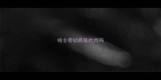 哈士奇幼崽能吃肉吗