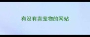 有没有卖宠物的网站