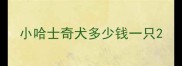 小哈士奇犬多少钱一只