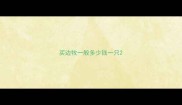 买边牧一般多少钱一只