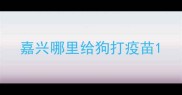 嘉兴哪里给狗打疫苗