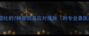 哈士奇呕吐的7种原因及应对措施附专业兽医建议