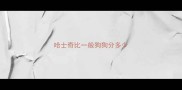 哈士奇比一般狗狗分多少