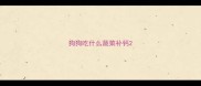 狗狗吃什么蔬菜补钙
