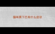 猫咪黑下巴有什么症状