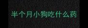 半个月小狗吃什么药