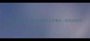 边牧洗澡频率全科学指南与注意事项附清洁技巧