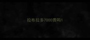 拉布拉多7000贵吗