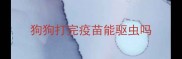狗狗打完疫苗能驱虫吗