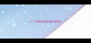 十个月母边牧体重与身高