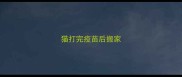 猫打完疫苗后搬家