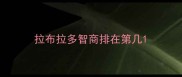 拉布拉多智商排在第几
