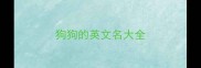 狗狗的英文名大全