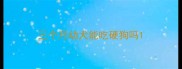 三个月幼犬能吃硬狗吗