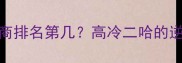 哈士奇智商排名第几高冷二哈的逆袭训练法