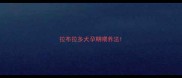 拉布拉多犬孕期喂养法