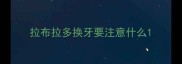 拉布拉多换牙要注意什么