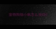 宠物狗细小病怎么预防