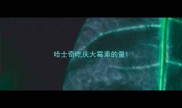 哈士奇吃庆大霉素的量