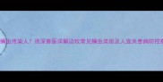 边牧螨虫传染人资深兽医详解边牧常见螨虫类型及人宠共患病防控指南