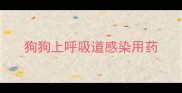狗狗上呼吸道感染用药