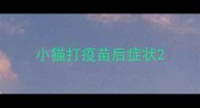 小猫打疫苗后症状