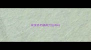 家里养的猫用打疫苗吗