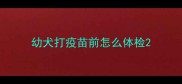 幼犬打疫苗前怎么体检