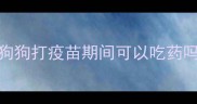 狗狗打疫苗期间可以吃药吗