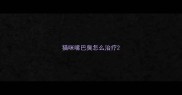 猫咪嘴巴臭怎么治疗