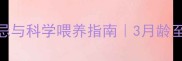 泰迪幼犬饮食禁忌与科学喂养指南3月龄至1岁营养全攻略